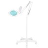 LED povećalo Glow Moonlight 8012/5' bijelo sa tronošcem