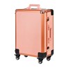 Make up kofer T-27, rozi