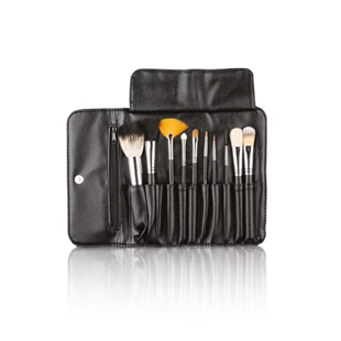 Make-up PRO set 10 kistova