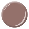 Uv Gel Polish CLASSIC ROSY WIND, 10 ml