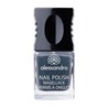 Lak za nokte 176 New York Grey 10 ml