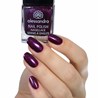 Alessandro lak za nokte 190 Purple Purpose , 10 ml