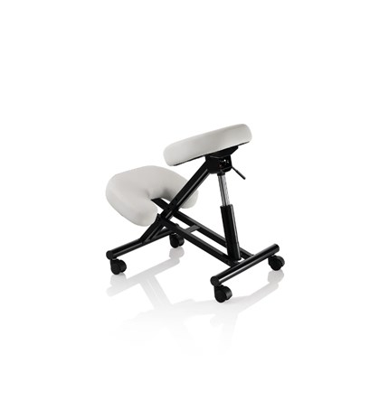 Ergonomska radna stolica MASTER INOX, bijela