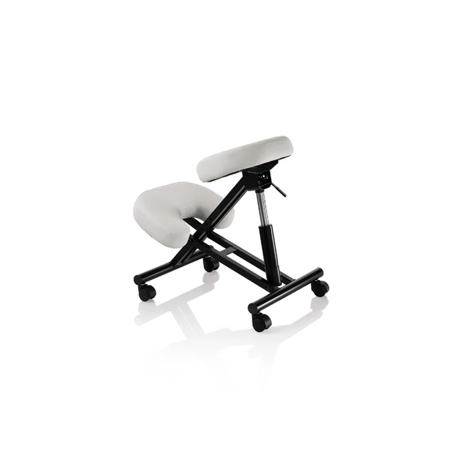 Ergonomska radna stolica MASTER INOX, bijela