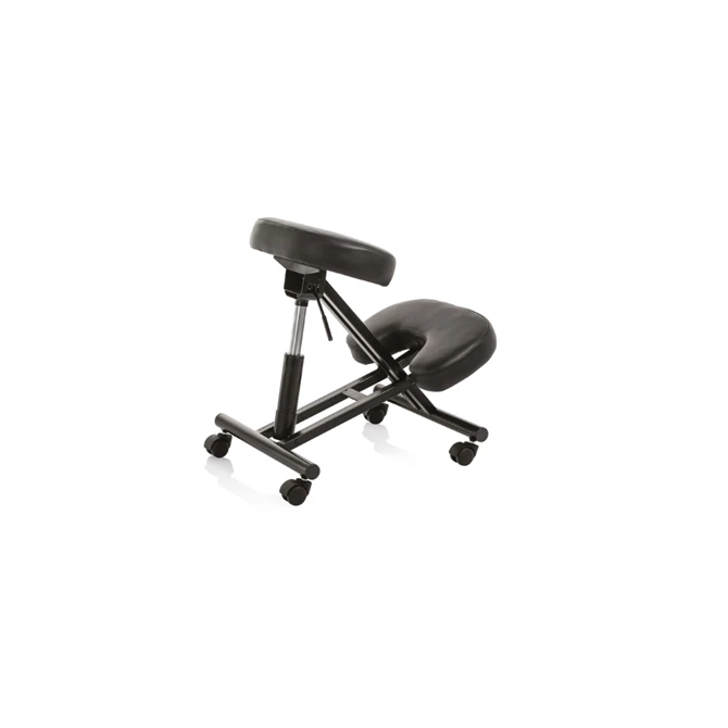 Ergonomska radna stolica MASTER INOX, crna