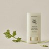 Matte Sun Stick: Mugwort + Camelia, 18 g